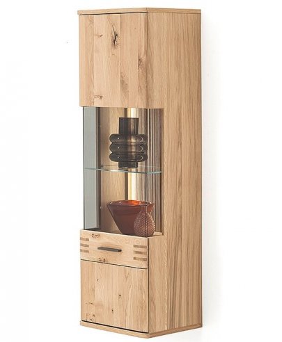Závěsná vitrína SALVADOR T40